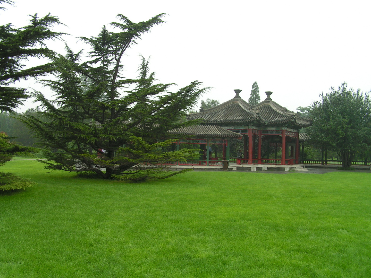 Beijing 2006